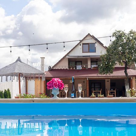 Vila Crisalia Sibiel -Sibiu (Adults Only)酒店 外观 照片