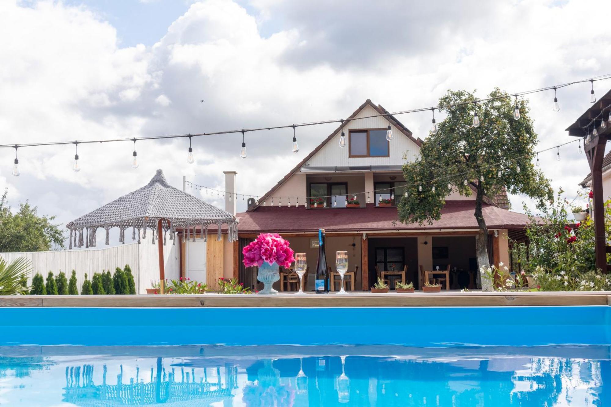 Vila Crisalia Sibiel -Sibiu (Adults Only)酒店 外观 照片